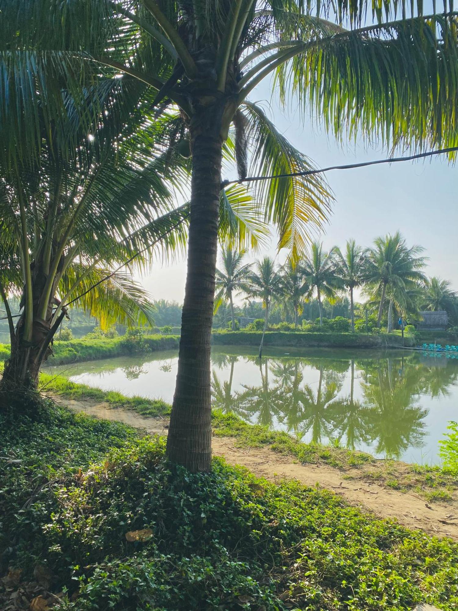 Laoxao Lakeview Homestay Hoi An Eksteriør billede