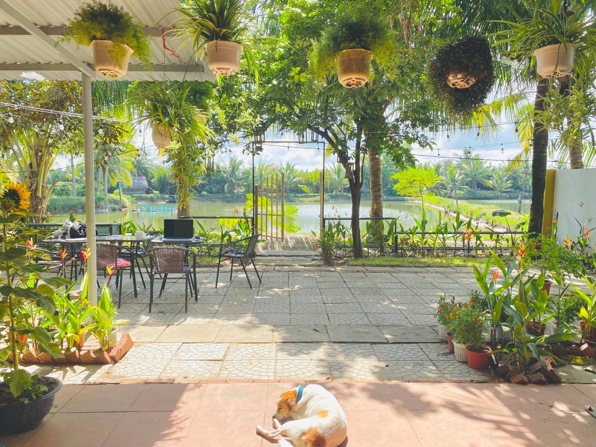 Laoxao Lakeview Homestay Hoi An Eksteriør billede
