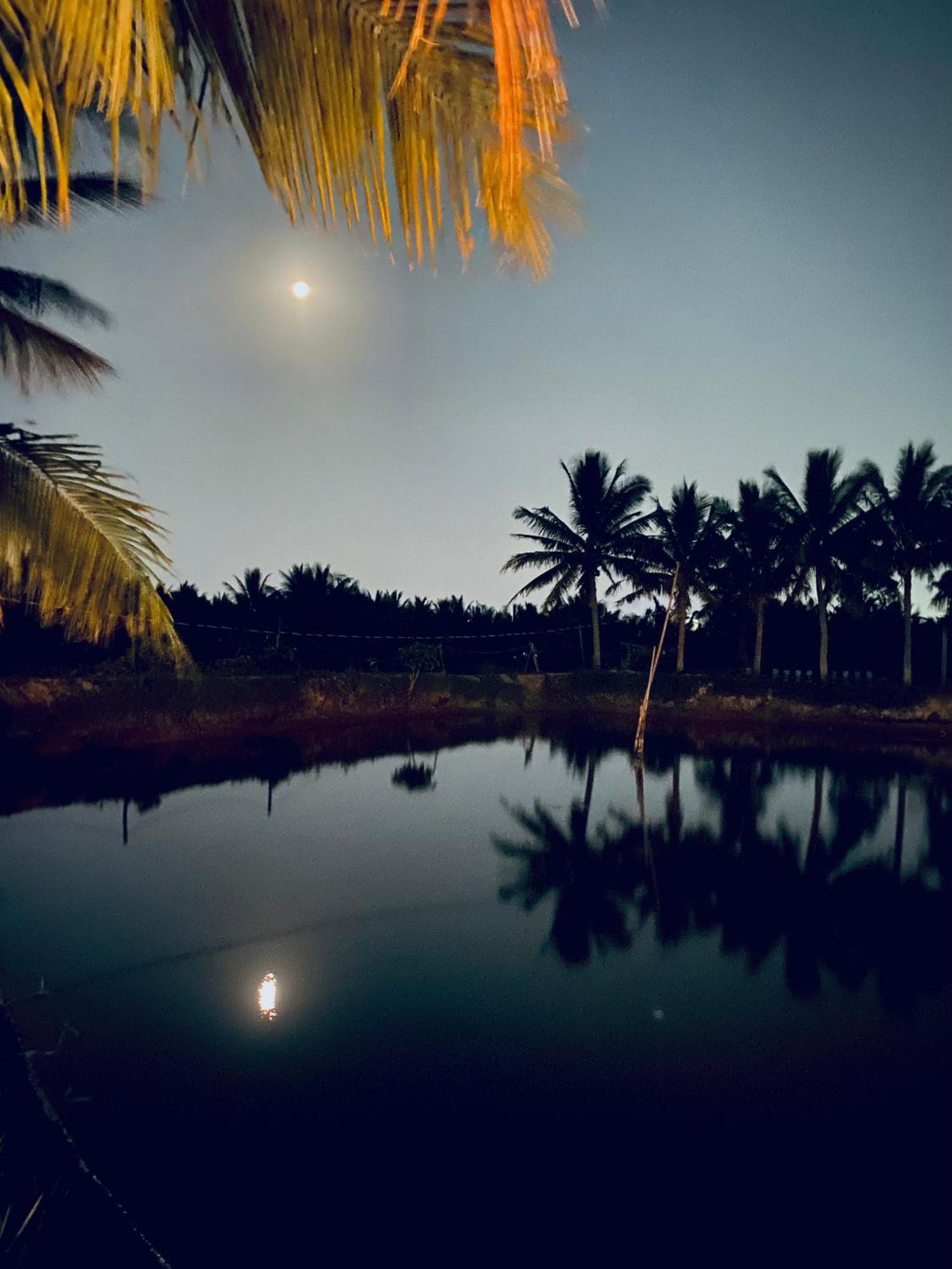 Laoxao Lakeview Homestay Hoi An Eksteriør billede