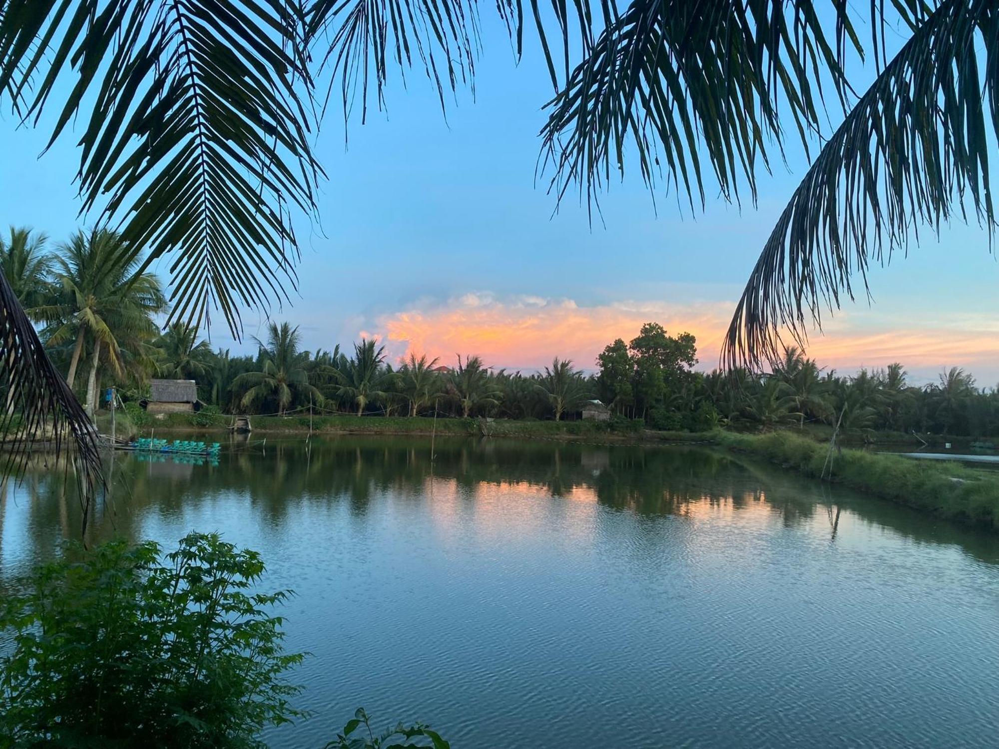 Laoxao Lakeview Homestay Hoi An Eksteriør billede
